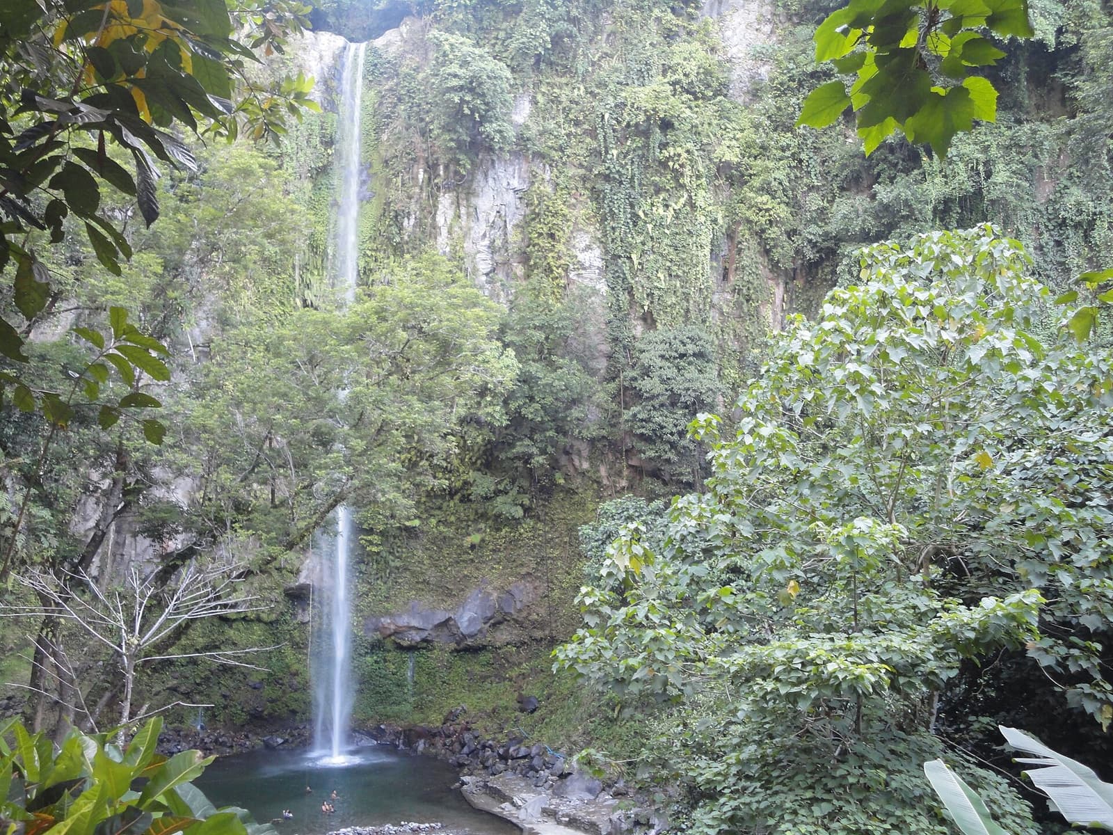 Katibawasan Falls dropping in a long white ribbon down a fern-covered cliff on Camiguin