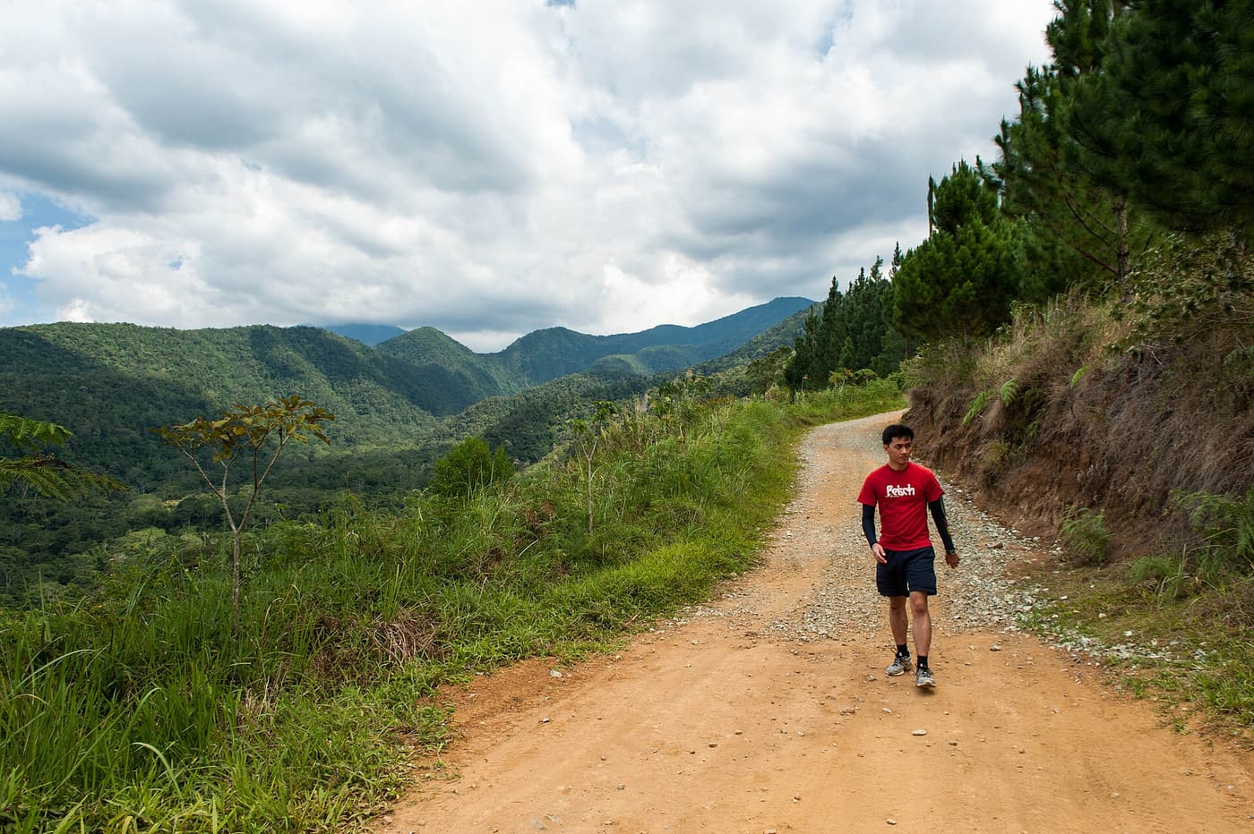 A dirt road through green hills in the Bukidnon countryside near Manolo Fortich