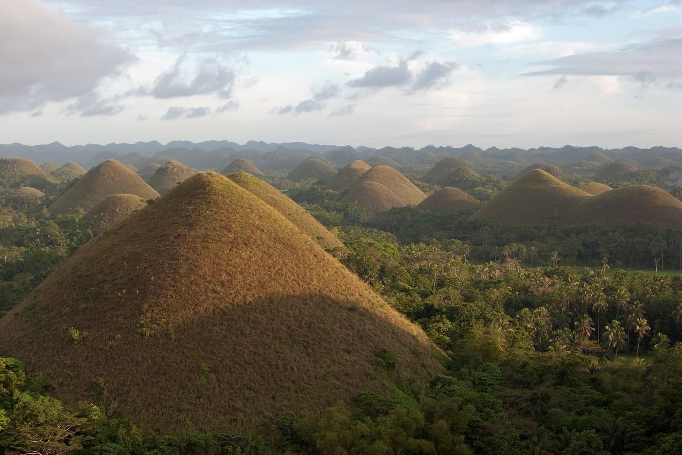 The cone-shaped Chocolate Hills of Bohol at golden hour