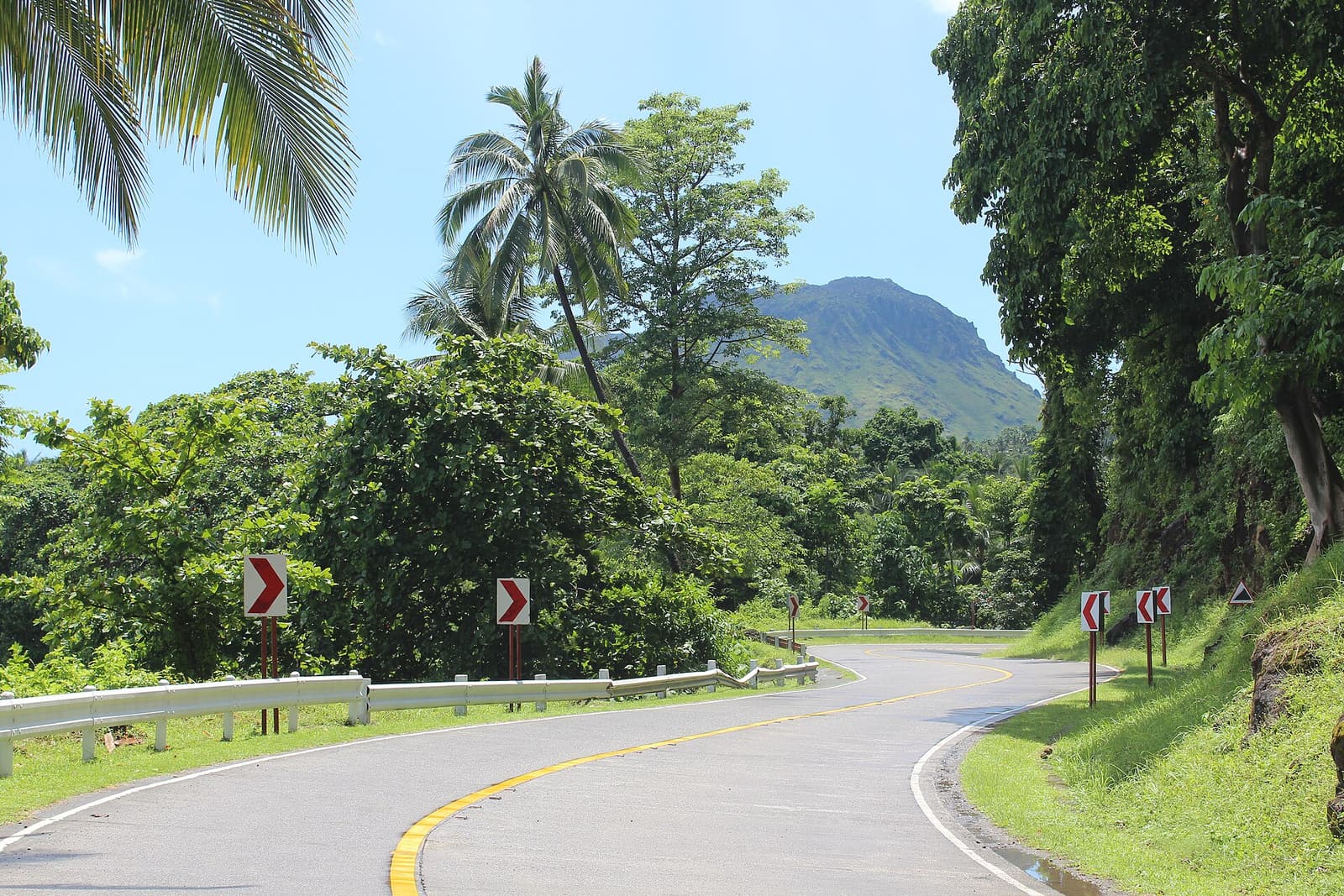 The island’s circumferential road winding through forest with a volcano behind