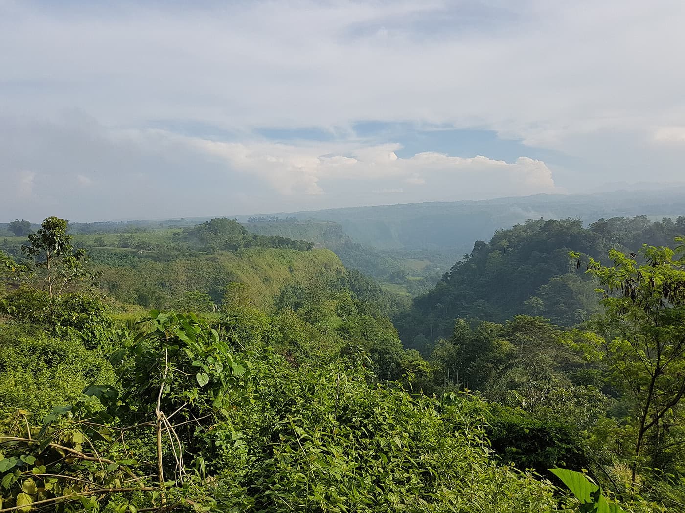 The forested Mangima Canyon near Manolo Fortich in Bukidnon